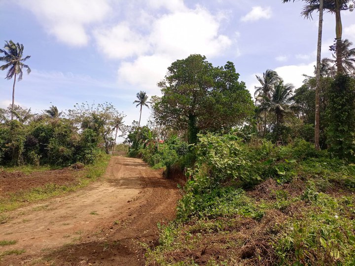 1000 sqm Residential Farm For Sale in brgy. Luksuhin