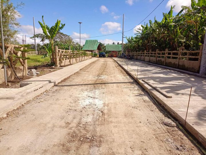 Lot for sale at Brgy.Luksuhin Alfonso Cavite