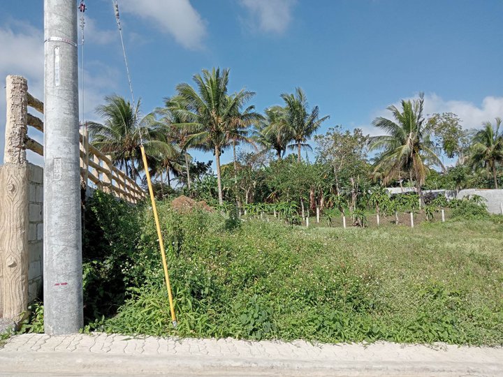 Residential Farm lot for sale near Tagaytay