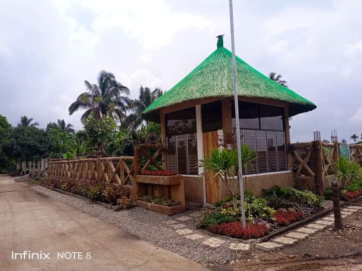 Farm lot for sale in  Brgy. Luksuhin Alfonso  near Highway of Tagaytay