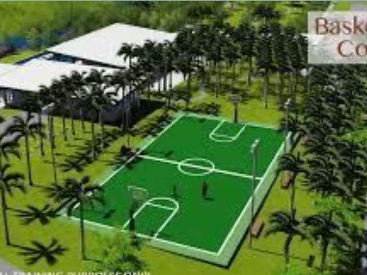 300 sqm Residential Lot For Sale in Venido Binan Laguna
