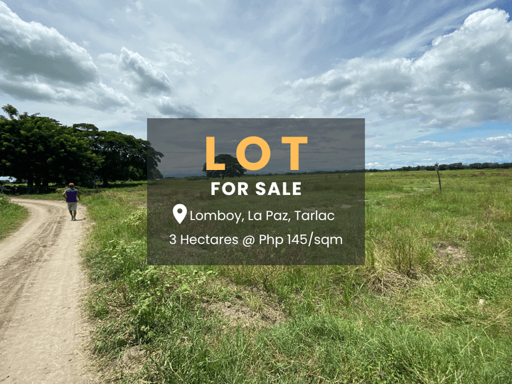 3.09 hectares Farm Lot for Sale in La Paz Tarlac