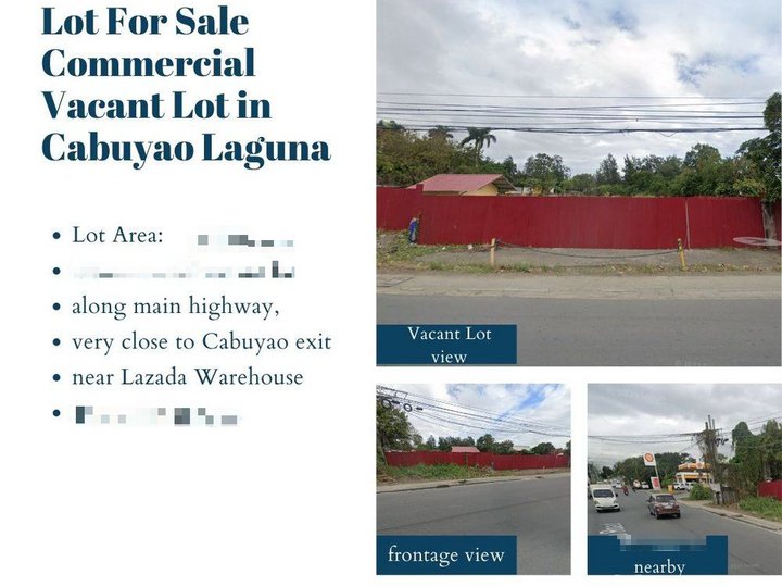 Lot For Sale  Commercial Vacant Lot in Cabuyao Laguna