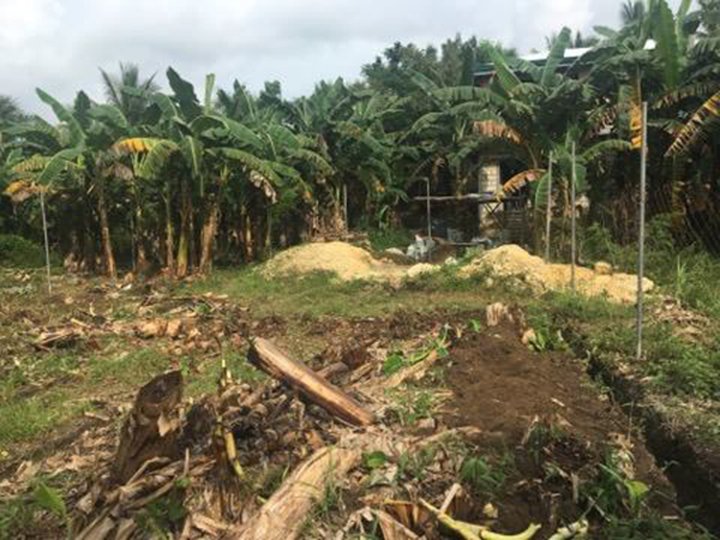 300 Square Meter Lot For Sale In San Vicente Liloan Cebu