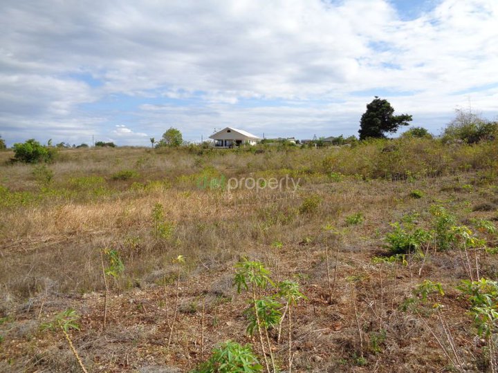 6500 sqm residential farm lots for sale in SANTA FE CEBU already subdivided.