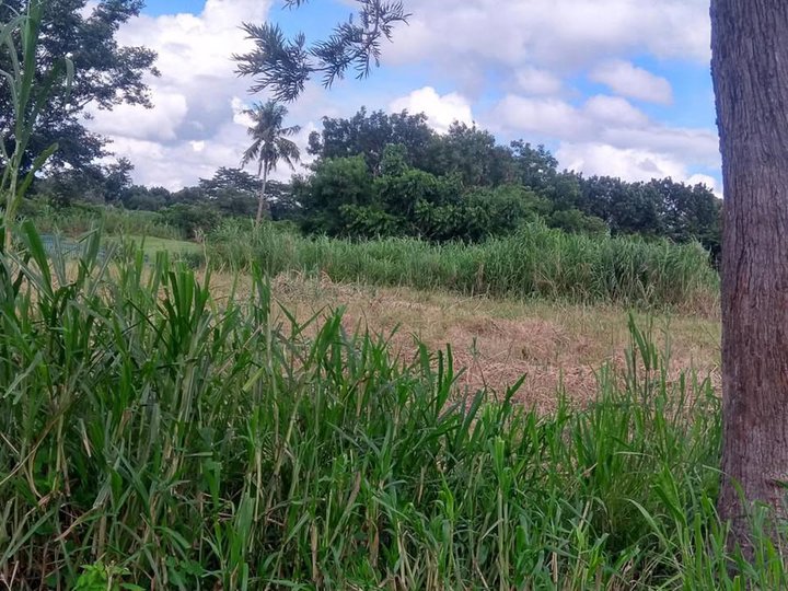 571 sqm Fairway Residential Lot FSBO in Eagle Ridge Golf & Country Club Subdivision