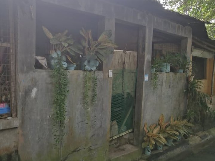 Refurbished House and Lot for Sale in San Jose Del Monte Bulacan