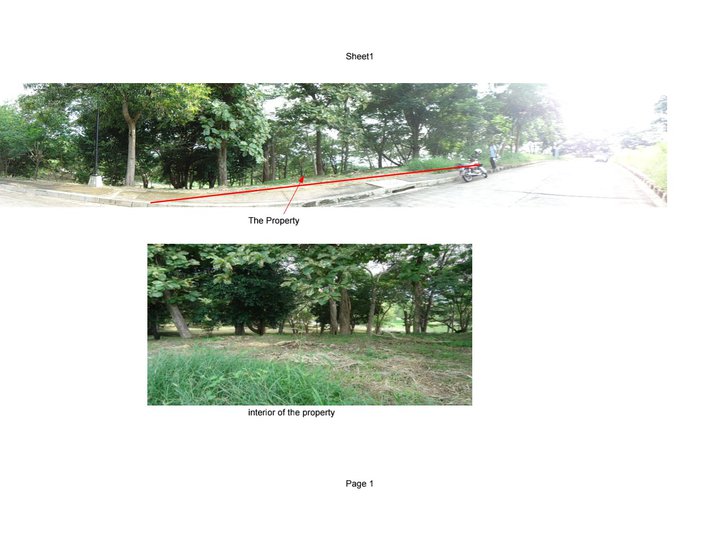 Bank foreclosed Residential Vacant lot Lot Terrazas de Punta Fuego