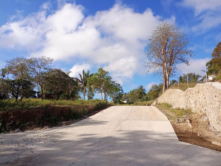 Farm lot with cemented road in Alfonso near Tagaytay Highway