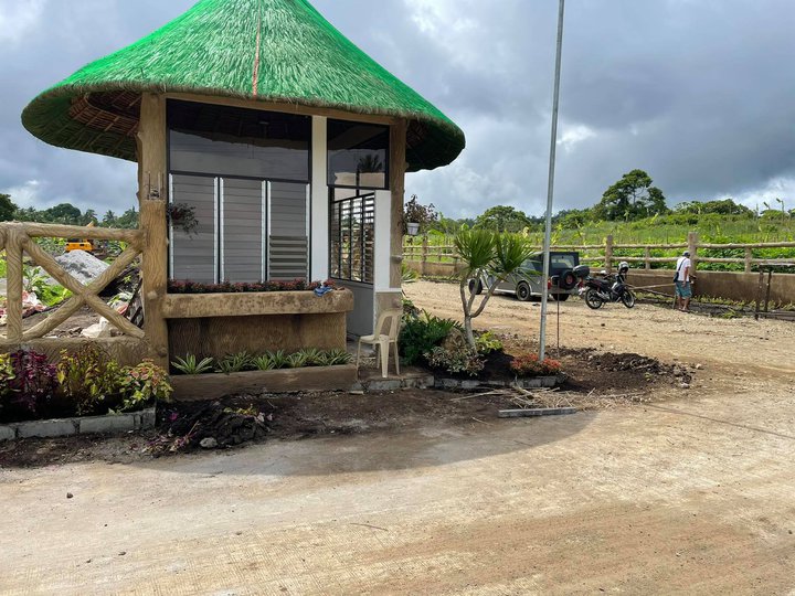 Residential Farm lot for Sale in Alfonso Retirement and buy now [Lot