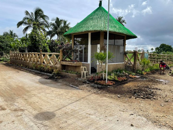 Farm for Sale located near Tagaytay Road