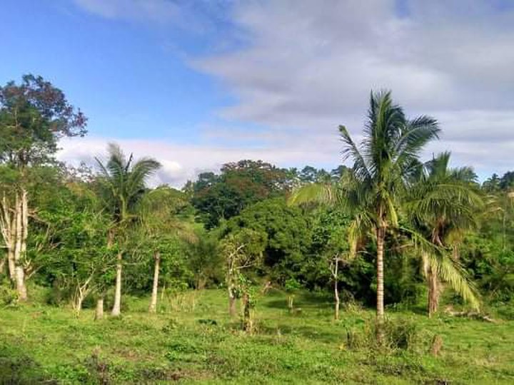 Affordable Lot in Cavite for Sale