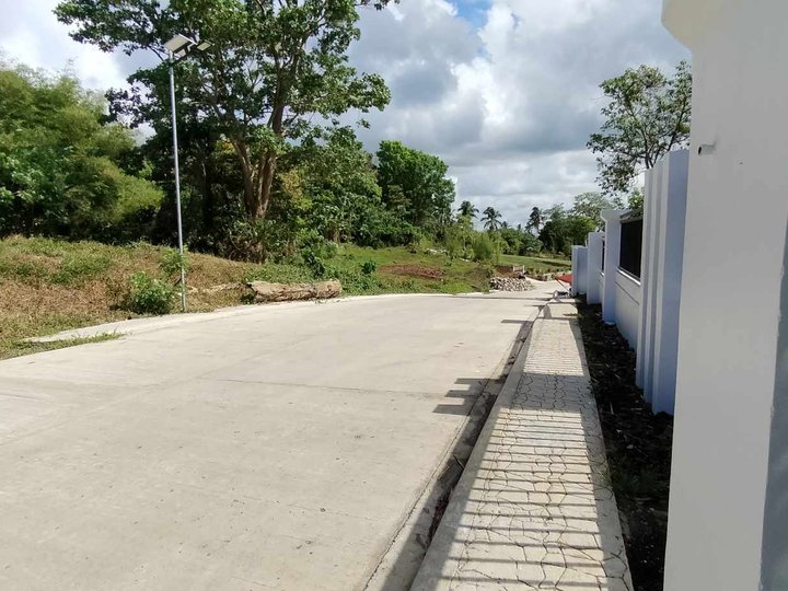 Agricultural farm lot- for residential only