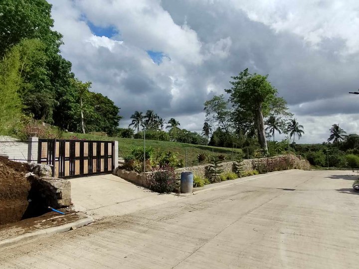 Residential Farm Lot For Sale in Alfonso Cavite