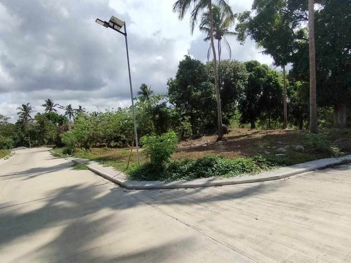 Farm lot with cold weather and with fruits bearing