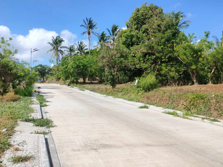 Lot for sale near Tagaytay road