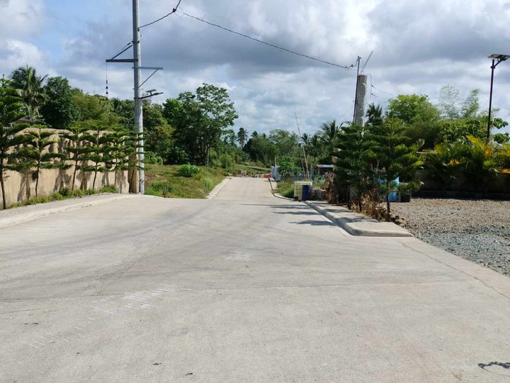 Farm lot for Sale near Tagaytay super cool weather