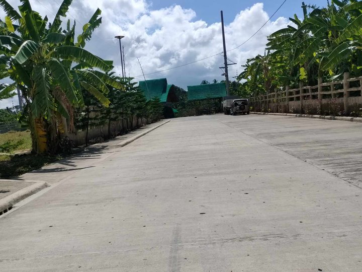 Lot for sale in Amaras Farm Alfonso Cavite