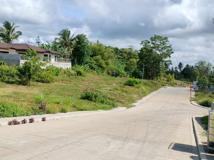 Residential farm lot with 1000sqm for sale near Tagaytay