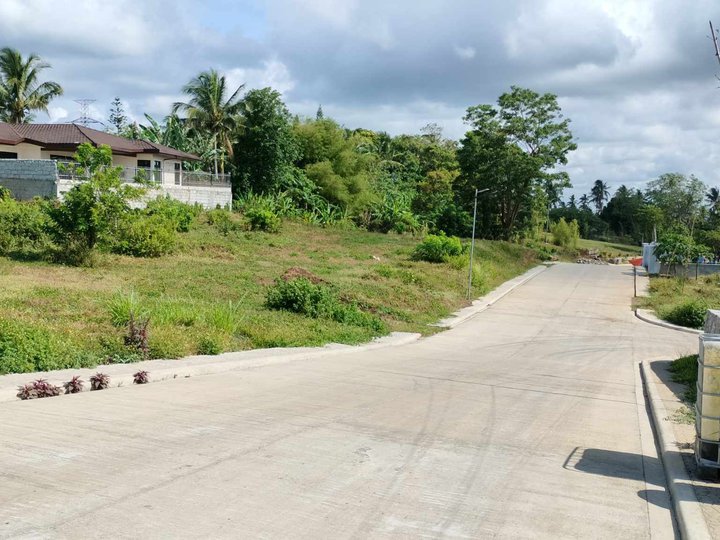 Lot for sale in Cavite  with cold weather