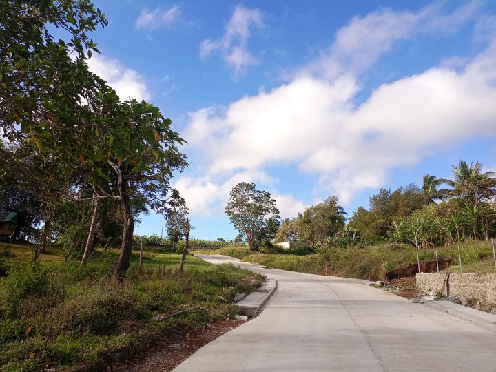 FARM LOT IN Brgy Luksuhin Alfonso Cavite for sale