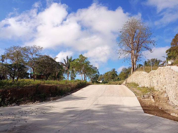 Farm lot in Alfonso Cavite-Tagaytay weather