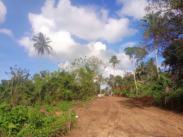 Residential Farm lot for sale ,accessible to all, near Tagaytay [Lot 🚜