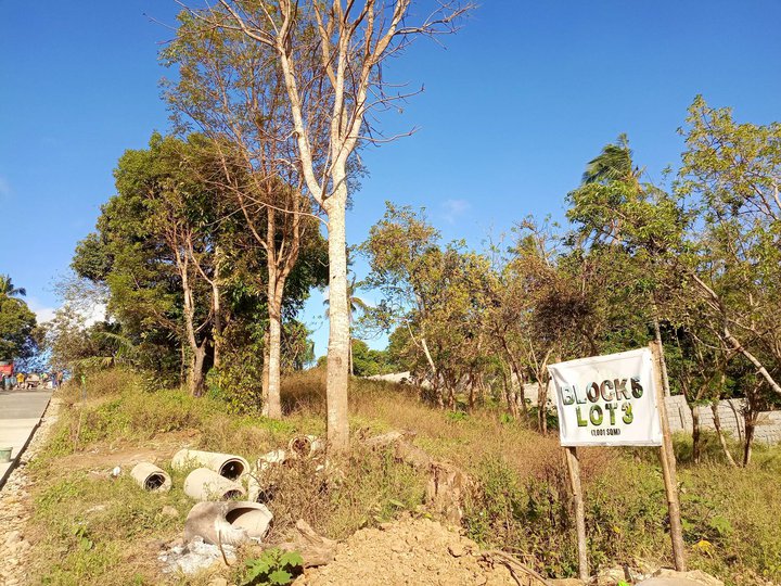 Farm Lot in Cavite near Splendido Tagaytay