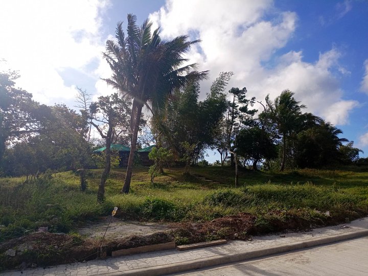 Lot for sale in Cavite along Tagaytay Nasugbu road