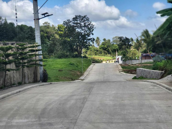 Farm lot for Sale near Tagaytay Highway