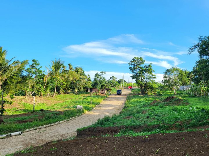 Farm lot in Cavite for Sale -Tagaytay weather