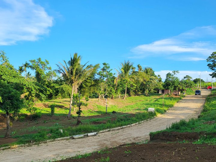 Lot Only for sale near Tagaytay Cavite