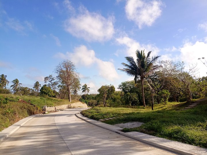 Farm lot near Splendido Tagaytay