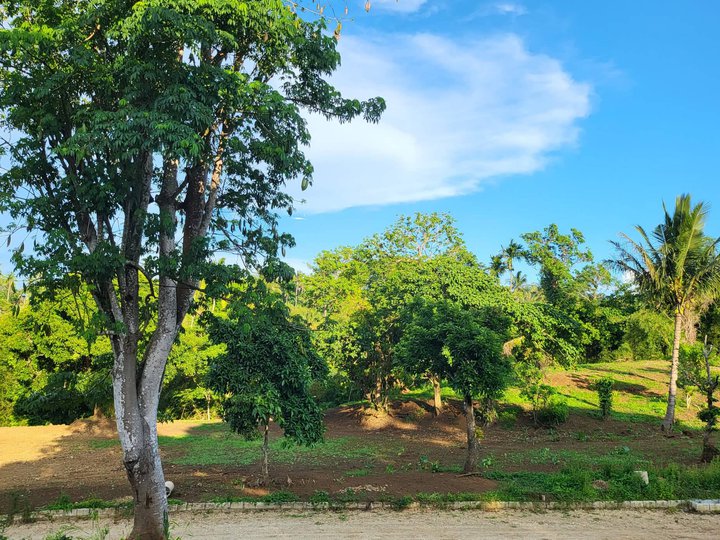 Farm land near Tagaytay for sale [Lot 🚜] (September 2023) in Alfonso