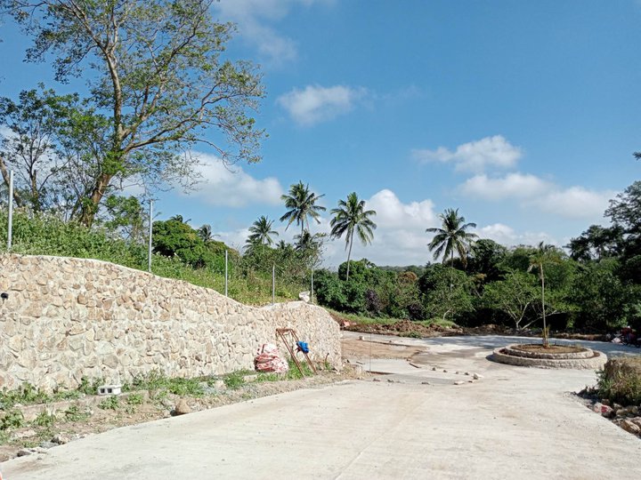 Farm lot with healthy soil near Tagaytay