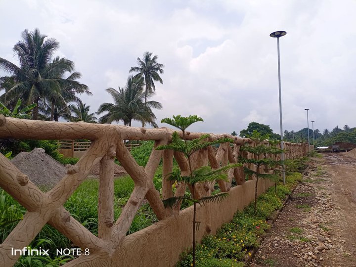 Farmland for Sale in Cavite [Lot 🚜] (August 2024) in Alfonso, Cavite