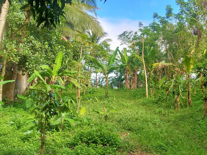Lot for Sale in Cavite near Tagaytay