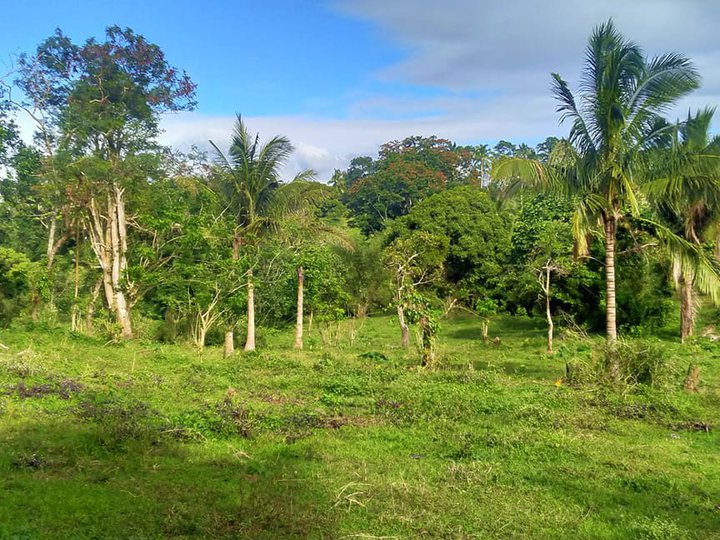 Farm lot near Tagaytay Road -Good location for Vacation House and Farm