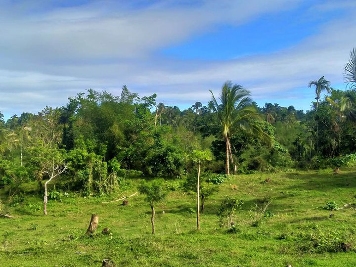 Farm near Splendido Tagaytay