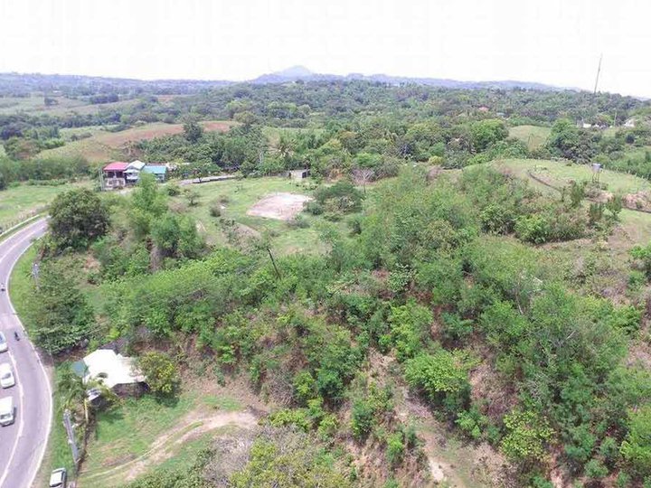 Lian Batangas Lot for Sale (9 hectares)