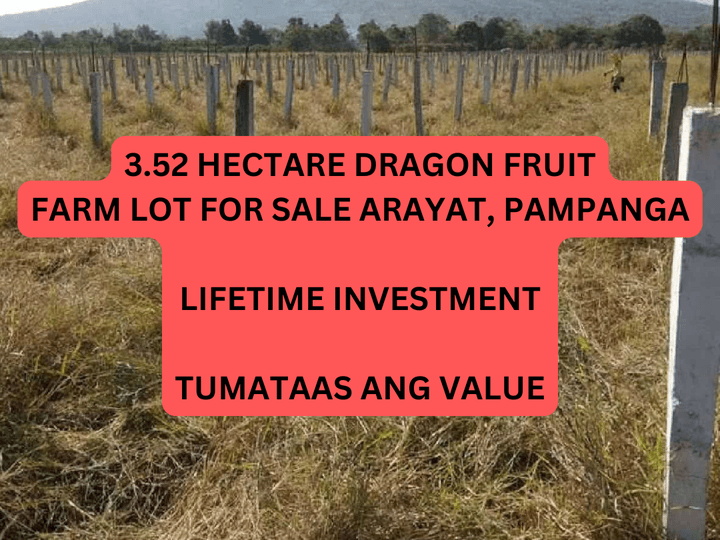 Quiet and Secluded 3.52 hectare Farmland For Sale in Arayat, Pampanga!