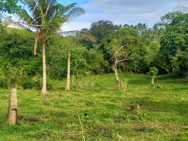 Farm lot for sale in Cavite with cold weather