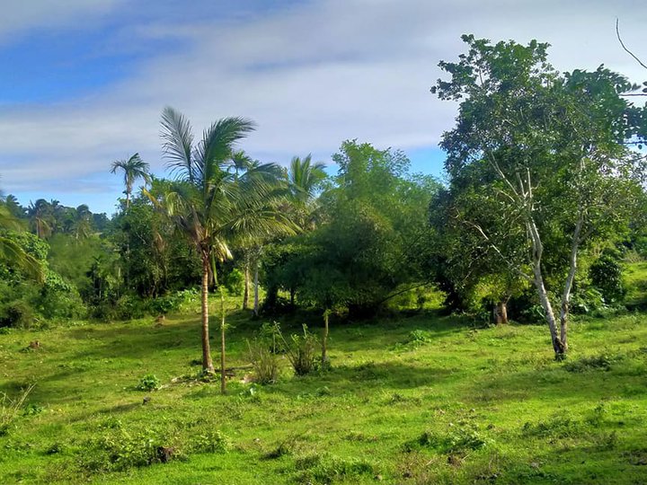 Farm Lot - Gated community near Splendido Tagaytay