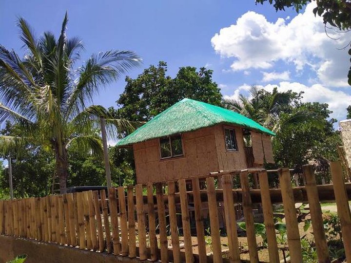 Titled Farm Land near Tagaytay for sale with cold weather [Lot 🚜