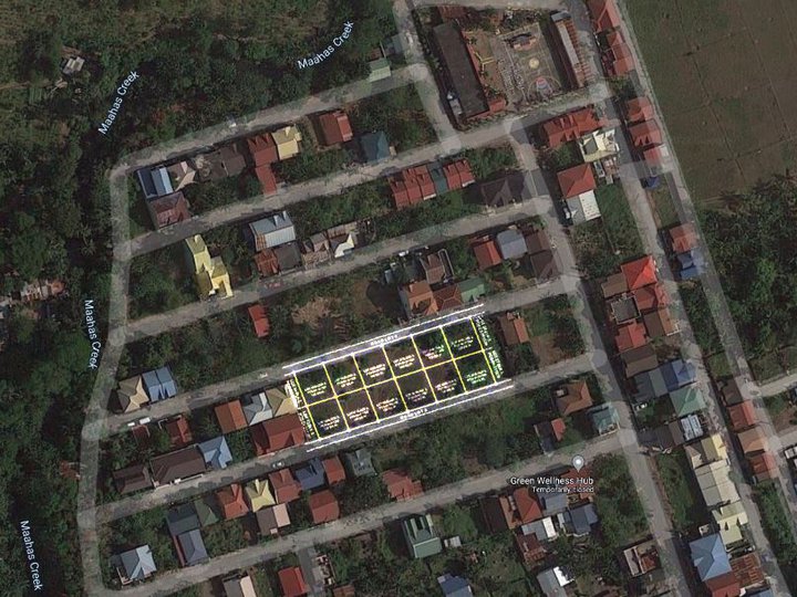 120 sqm Residential Lots For Sale in Los Banos Laguna