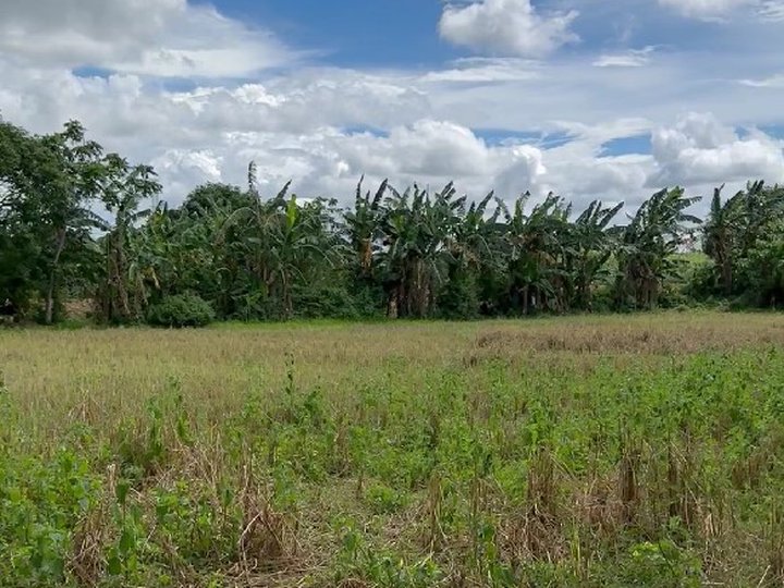 Farm Lot for Sale in Silang Cavite - 14,574 sqm