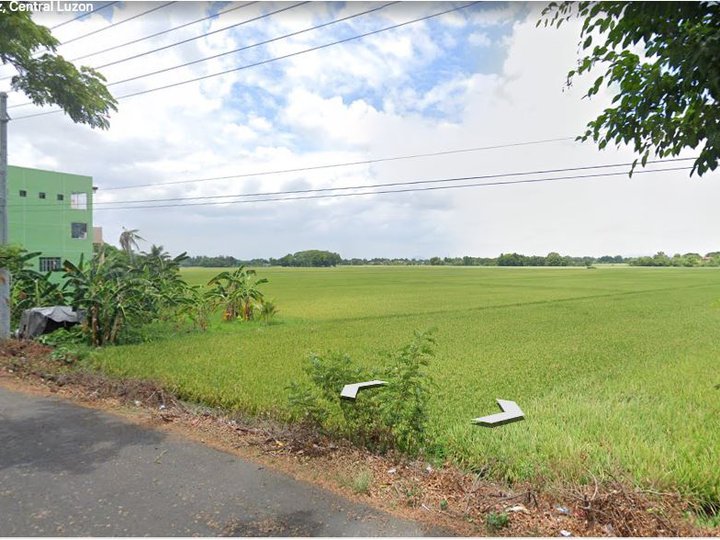 15 HECTARE LOT FOR SALE IN SCIENCE CITY OF MUNOZ ALONG NATIONAL HI-WAY