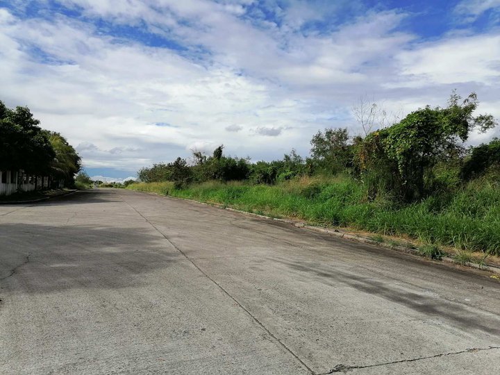 Cavite Lot for Sale in Silang 5590sqm