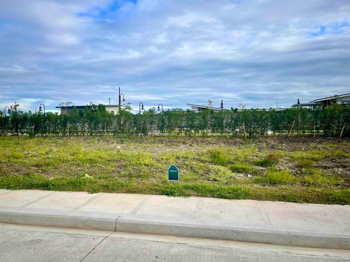 320 sqm Rare Single-Loaded Lot for Sale in Daang Hari, Las Pinas, Alabang West Village