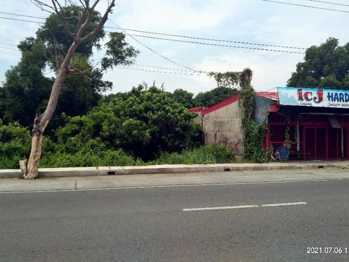 Commercial lot along DagupanSan Fabian Road in Dagupan City [Lot 🚜